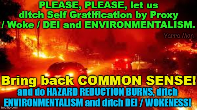 PLEASE, California, ditch Woke, DEI and Environmentalism! Peoples safety must come first! | PLEASE, PLEASE, let us ditch Self Gratification by Proxy / Woke / DEI and ENVIRONMENTALISM. Yarra Man; Bring back COMMON SENSE! and do HAZARD REDUCTION BURNS, ditch ENVIRONMENTALISM and ditch DEI / WOKENESS! | image tagged in gavin newsom,self gratification by proxy,democrat disasters,leftism,wild fires | made w/ Imgflip meme maker