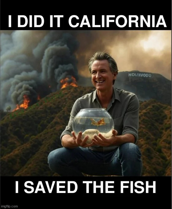 but... he saved the fish | image tagged in newsom,saved fish,people and their homes not so much | made w/ Imgflip meme maker