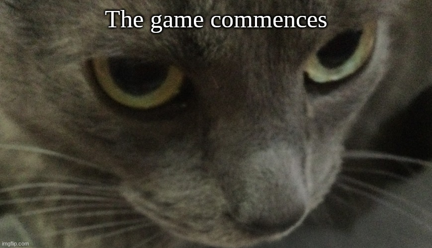 36/35 | The game commences | image tagged in sweetie | made w/ Imgflip meme maker