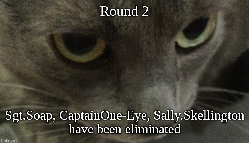 Sweetie | Round 2; Sgt.Soap, CaptainOne-Eye, Sally.Skellington
have been eliminated | image tagged in sweetie | made w/ Imgflip meme maker