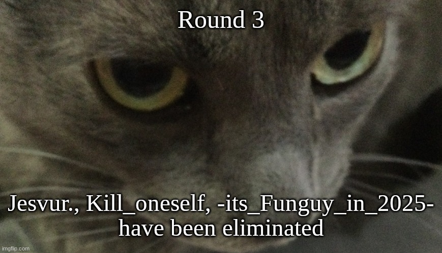 Sweetie | Round 3; Jesvur., Kill_oneself, -its_Funguy_in_2025-
have been eliminated | image tagged in sweetie | made w/ Imgflip meme maker