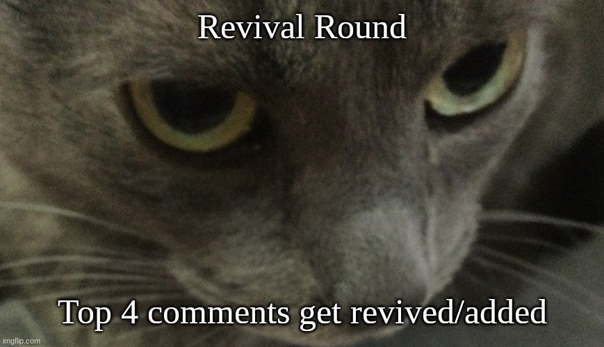 Sweetie | Revival Round; Top 4 comments get revived/added | image tagged in sweetie | made w/ Imgflip meme maker