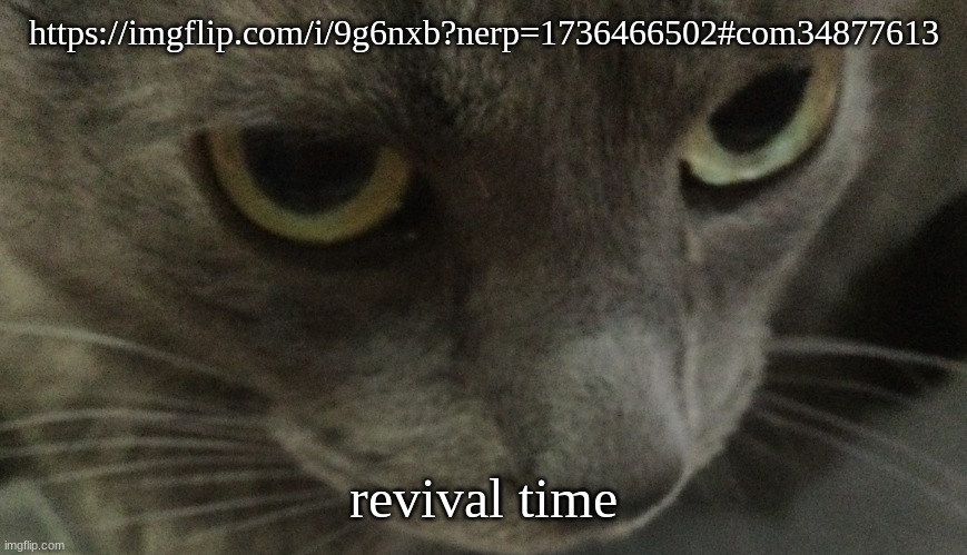 Sweetie | https://imgflip.com/i/9g6nxb?nerp=1736466502#com34877613; revival time | image tagged in sweetie | made w/ Imgflip meme maker