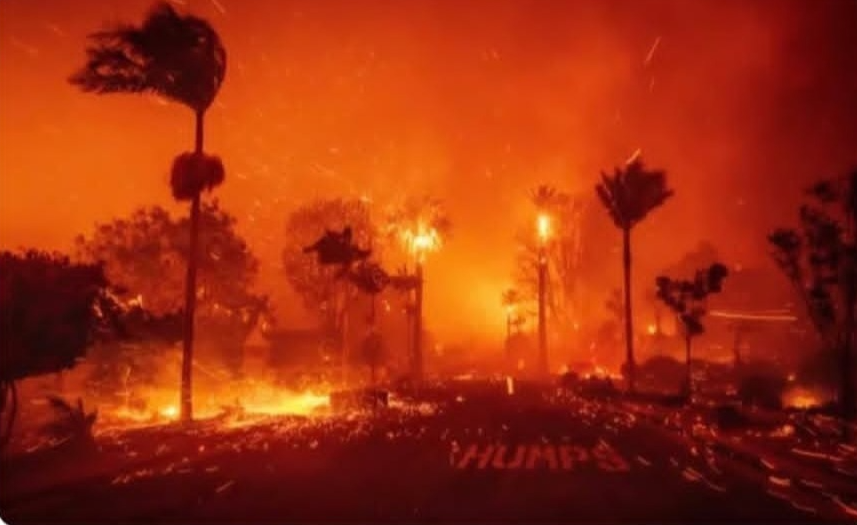 LA Fires 2025 Blank Meme Template