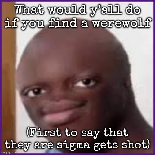 Bald Ksi | What would y’all do if you find a werewolf; (First to say that they are sigma gets shot) | image tagged in bald ksi,msmg | made w/ Imgflip meme maker