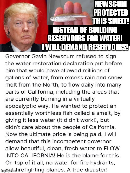 Newscum protected this smelt! Trump will build reservoirs! | image tagged in sam elliott special kind of stupid | made w/ Imgflip meme maker