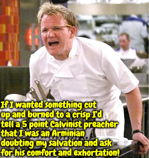 Cut Up & Burned To A Crisp | If I wanted something cut up and burned to a crisp I'd tell a 5 point Calvinist preacher; that I was an Arminian doubting my salvation and ask for his comfort and exhortation! | image tagged in chef gordon ramsay,calvinism,arminian,molinism,cut up and burned alive,legalistic pharisee ghoulish muppets | made w/ Imgflip meme maker
