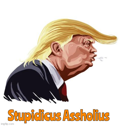 Donald Trump in latin | Stupidicus Assholius | image tagged in donald trump in latin,looney tune trump,xl ahole,maga moron | made w/ Imgflip meme maker