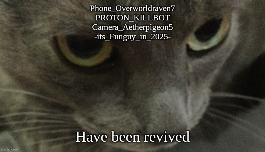 Sweetie | Phone_Overworldraven7
PROTON_KILLBOT
Camera_Aetherpigeon5
-its_Funguy_in_2025-; Have been revived | image tagged in sweetie | made w/ Imgflip meme maker