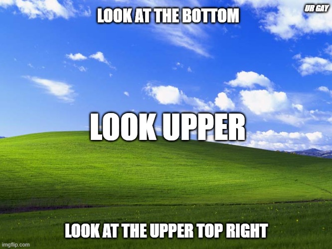 Windows XP Wallpaper | UR GAY; LOOK AT THE BOTTOM; LOOK UPPER; LOOK AT THE UPPER TOP RIGHT | image tagged in windows xp wallpaper | made w/ Imgflip meme maker