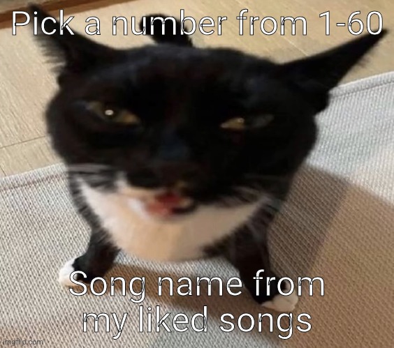 Cat of anger | Pick a number from 1-60; Song name from my liked songs | image tagged in cat of anger | made w/ Imgflip meme maker