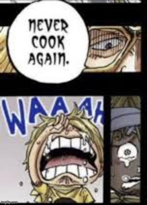 never cook again | image tagged in never cook again | made w/ Imgflip meme maker