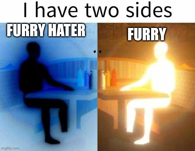 I have two sides ?? | FURRY HATER; FURRY | image tagged in i have two sides,furry,anti furry | made w/ Imgflip meme maker