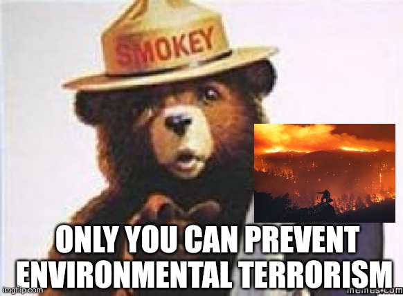 Forest Management | ONLY YOU CAN PREVENT ENVIRONMENTAL TERRORISM | image tagged in only you can,saves lives,saves property,vote your embers | made w/ Imgflip meme maker