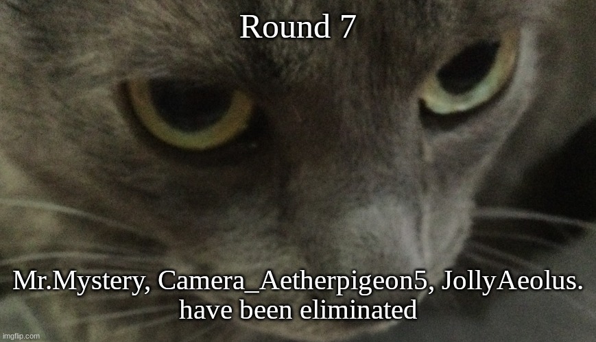 Sweetie | Round 7; Mr.Mystery, Camera_Aetherpigeon5, JollyAeolus.
have been eliminated | image tagged in sweetie | made w/ Imgflip meme maker