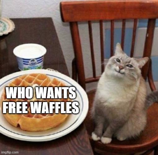 Cat likes their waffle | WHO WANTS FREE WAFFLES | image tagged in cat likes their waffle,waffle house | made w/ Imgflip meme maker