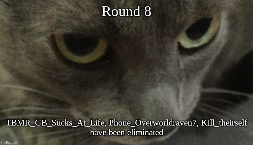 Sweetie | Round 8; TBMR_GB_Sucks_At_Life, Phone_Overworldraven7, Kill_theirself
have been eliminated | image tagged in sweetie | made w/ Imgflip meme maker