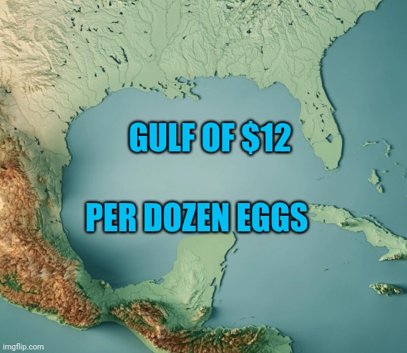 Gulf of What? | GULF OF $12; PER DOZEN EGGS | image tagged in gulf of what | made w/ Imgflip meme maker