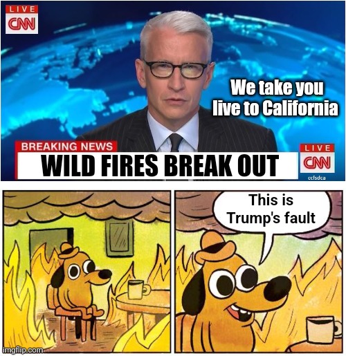 We take you live to California; WILD FIRES BREAK OUT; This is Trump's fault | image tagged in cnn news blank,this is fine blank | made w/ Imgflip meme maker