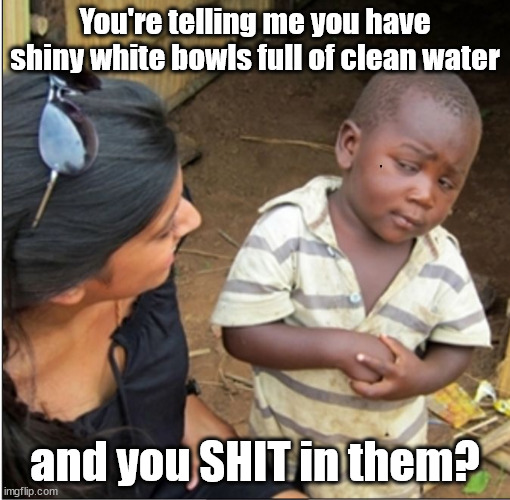 You do WHAT, now? | You're telling me you have shiny white bowls full of clean water; and you SHIT in them? | image tagged in skepticalkid | made w/ Imgflip meme maker