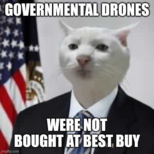 Drones are expensive | GOVERNMENTAL DRONES; WERE NOT BOUGHT AT BEST BUY | image tagged in governmentbeuracat,look over there | made w/ Imgflip meme maker