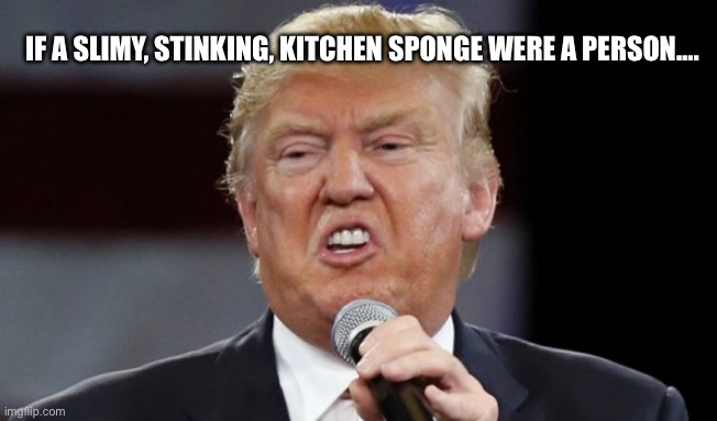 Stinking Kitchen Sponge | IF A SLIMY, STINKING, KITCHEN SPONGE WERE A PERSON…. | image tagged in ugly trump | made w/ Imgflip meme maker