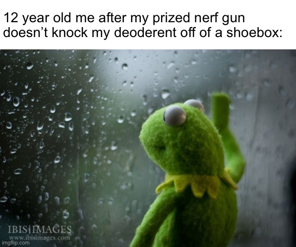 kermit window | 12 year old me after my prized nerf gun doesn’t knock my deoderent off of a shoebox: | image tagged in kermit window,nerf | made w/ Imgflip meme maker