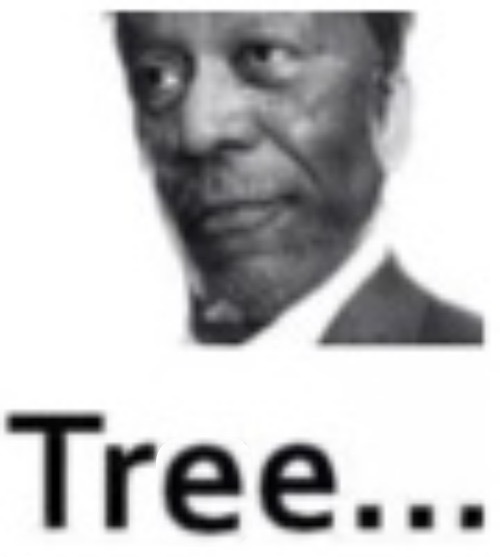 Tree... | image tagged in tree | made w/ Imgflip meme maker