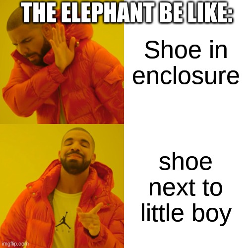 Shoe in enclosure shoe next to little boy THE ELEPHANT BE LIKE: | image tagged in memes,drake hotline bling | made w/ Imgflip meme maker