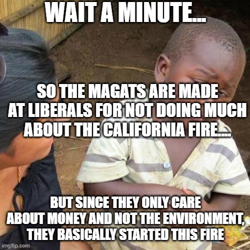 Oh no! Here comes all the stupid triggered people in the coments! | WAIT A MINUTE... SO THE MAGATS ARE MADE AT LIBERALS FOR NOT DOING MUCH ABOUT THE CALIFORNIA FIRE.... BUT SINCE THEY ONLY CARE ABOUT MONEY AND NOT THE ENVIRONMENT, THEY BASICALLY STARTED THIS FIRE | image tagged in memes,third world skeptical kid | made w/ Imgflip meme maker