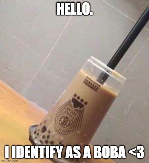 My name is Angel :3 | HELLO. I IDENTIFY AS A BOBA <3 | image tagged in hi | made w/ Imgflip meme maker