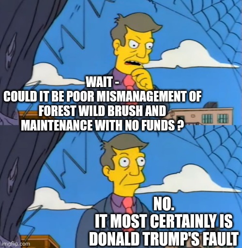 Simpsons Principle | WAIT -
COULD IT BE POOR MISMANAGEMENT OF FOREST WILD BRUSH AND MAINTENANCE WITH NO FUNDS ? NO.
IT MOST CERTAINLY IS DONALD TRUMP'S FAULT | image tagged in simpsons principle | made w/ Imgflip meme maker