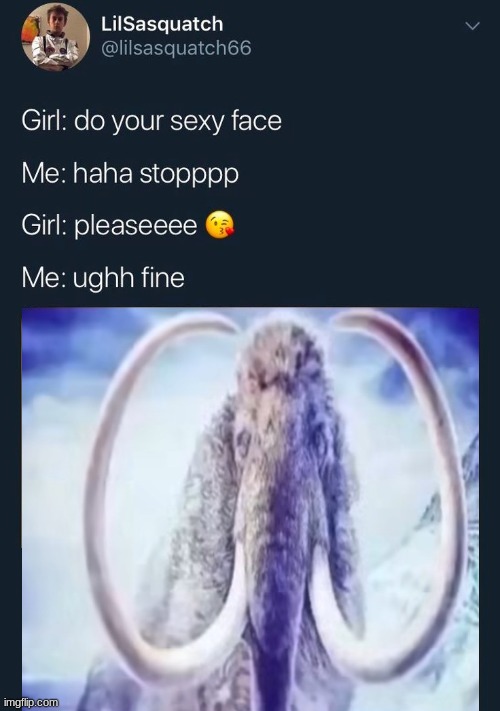 do your sexy face | image tagged in do your sexy face | made w/ Imgflip meme maker