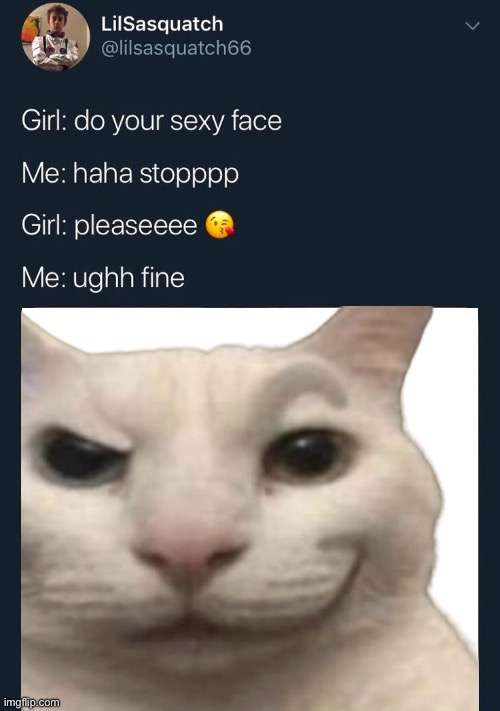 do your sexy face | image tagged in do your sexy face | made w/ Imgflip meme maker