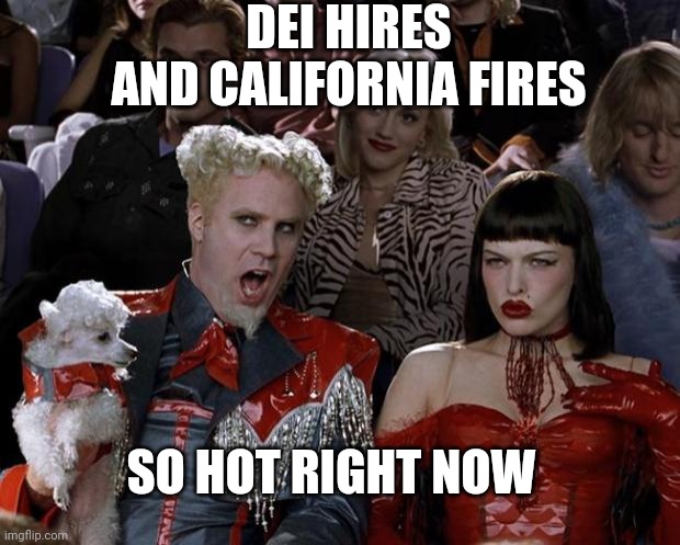 Mugatu So Hot Right Now Meme | DEI HIRES
AND CALIFORNIA FIRES SO HOT RIGHT NOW | image tagged in memes,mugatu so hot right now | made w/ Imgflip meme maker