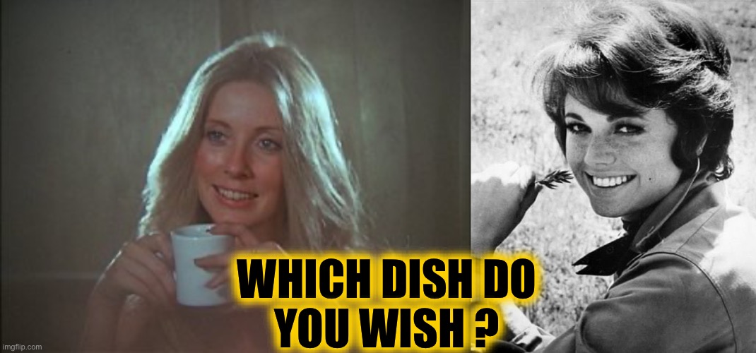 WHICH DISH DO
YOU WISH ? | made w/ Imgflip meme maker