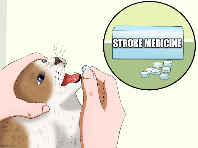 Cat Medicine | STROKE MEDICINE | image tagged in cat medicine | made w/ Imgflip meme maker