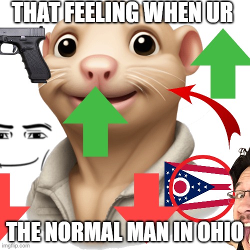 THE FUCKING CHEESE MAN | THAT FEELING WHEN UR; THE NORMAL MAN IN OHIO | image tagged in the fucking cheese man | made w/ Imgflip meme maker