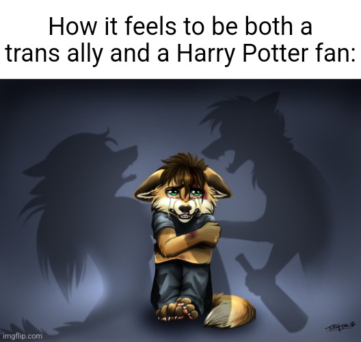 How it feels to be both a trans ally and a Harry Potter fan: | made w/ Imgflip meme maker
