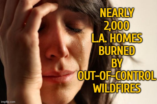 Palisades Fire Torches 1,000 Structures | NEARLY
2,000
L.A. HOMES
BURNED
BY
OUT-OF-CONTROL
WILDFIRES | image tagged in memes,first world problems,usa,breaking news,california fires,california | made w/ Imgflip meme maker