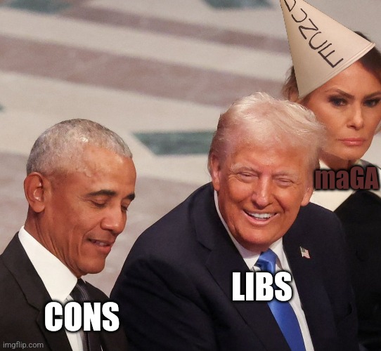 Getting that Reeaal Washington outsider | maGA; LIBS; CONS | image tagged in comedy,liberals vs conservatives,democrats,republicans | made w/ Imgflip meme maker