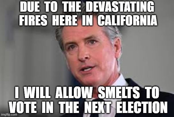 DUE  TO  THE  DEVASTATING  FIRES  HERE  IN  CALIFORNIA; I  WILL  ALLOW  SMELTS  TO  VOTE  IN  THE  NEXT  ELECTION | image tagged in gavin newsom,california fires,smelts | made w/ Imgflip meme maker