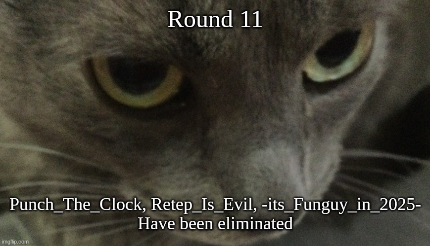 Sweetie | Round 11; Punch_The_Clock, Retep_Is_Evil, -its_Funguy_in_2025-
Have been eliminated | image tagged in sweetie | made w/ Imgflip meme maker