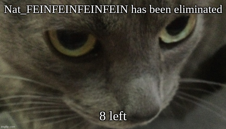 Sweetie | Nat_FEINFEINFEINFEIN has been eliminated; 8 left | image tagged in sweetie | made w/ Imgflip meme maker