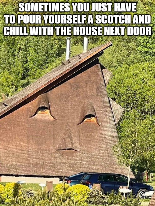 Chill House | SOMETIMES YOU JUST HAVE TO POUR YOURSELF A SCOTCH AND CHILL WITH THE HOUSE NEXT DOOR | image tagged in house,chill | made w/ Imgflip meme maker