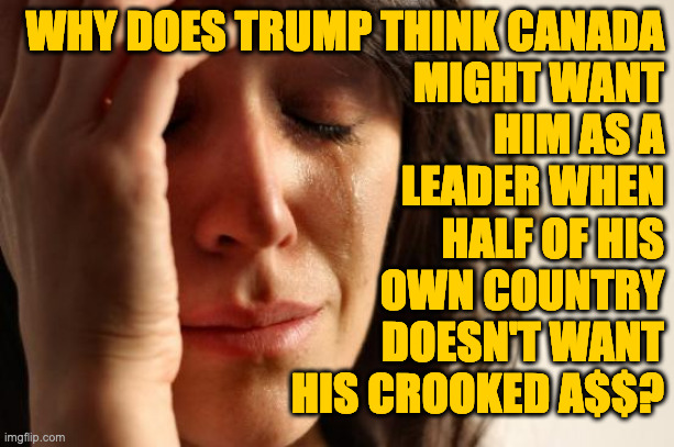 Let's just swap our conservatives for Canada's liberals.  Everybody wins. | WHY DOES TRUMP THINK CANADA
MIGHT WANT
HIM AS A
LEADER WHEN
HALF OF HIS
OWN COUNTRY
DOESN'T WANT
HIS CROOKED A$$? | image tagged in memes,first world problems,trump,canada | made w/ Imgflip meme maker