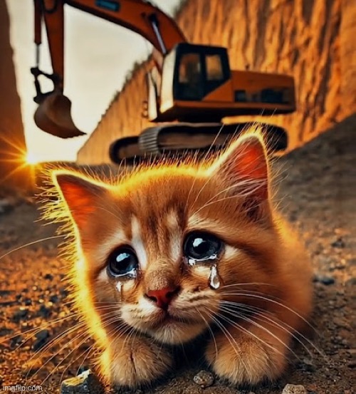 Your execution is tomorrow. | made w/ Imgflip meme maker