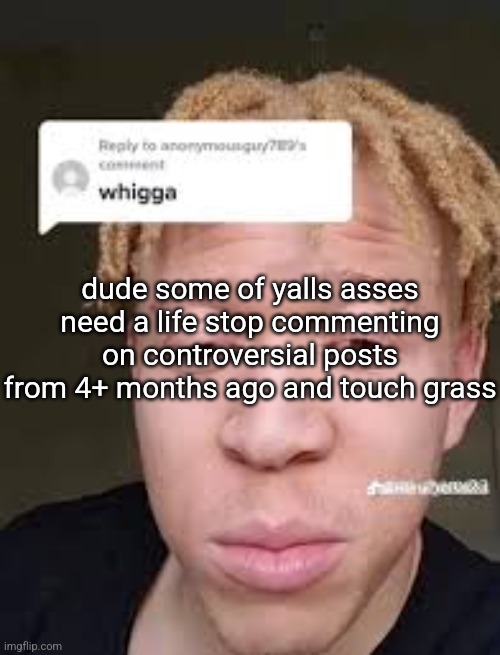 technically I am unable to touch grass because it's covered in snow | dude some of yalls asses need a life stop commenting on controversial posts from 4+ months ago and touch grass | image tagged in whigga | made w/ Imgflip meme maker