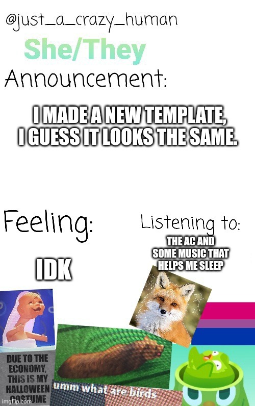 Idk anymore | I MADE A NEW TEMPLATE, I GUESS IT LOOKS THE SAME. THE AC AND SOME MUSIC THAT HELPS ME SLEEP; IDK | image tagged in just_a_crazy_human announcement 2025 | made w/ Imgflip meme maker