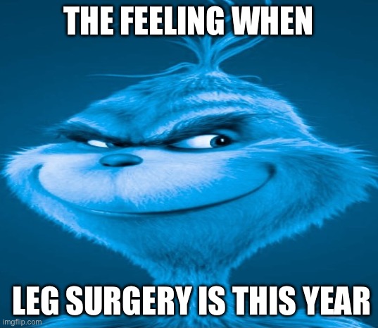 >:) | THE FEELING WHEN; LEG SURGERY IS THIS YEAR | image tagged in blue grinch | made w/ Imgflip meme maker